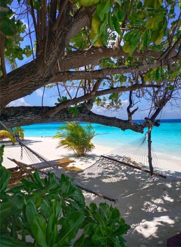 Paradisul din Oceanul Indian, protejat natural în faţa Covid-19 Paradisul din Oceanul Indian, protejat natural în faţa Covid-19